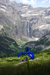 BEAUTÉ DE GAVARNIE