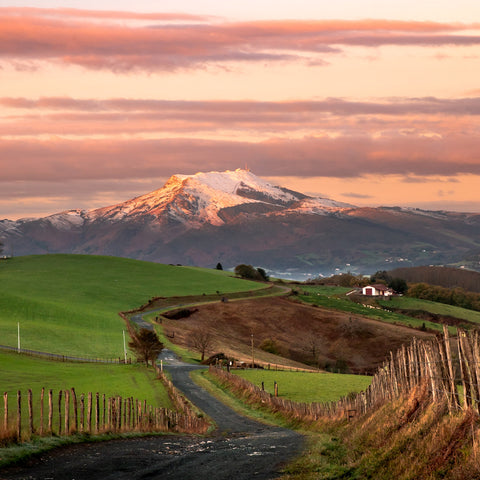 LE CHEMIN DE LA RHUNE