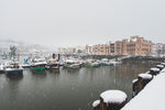 NEIGE LUZIENNE